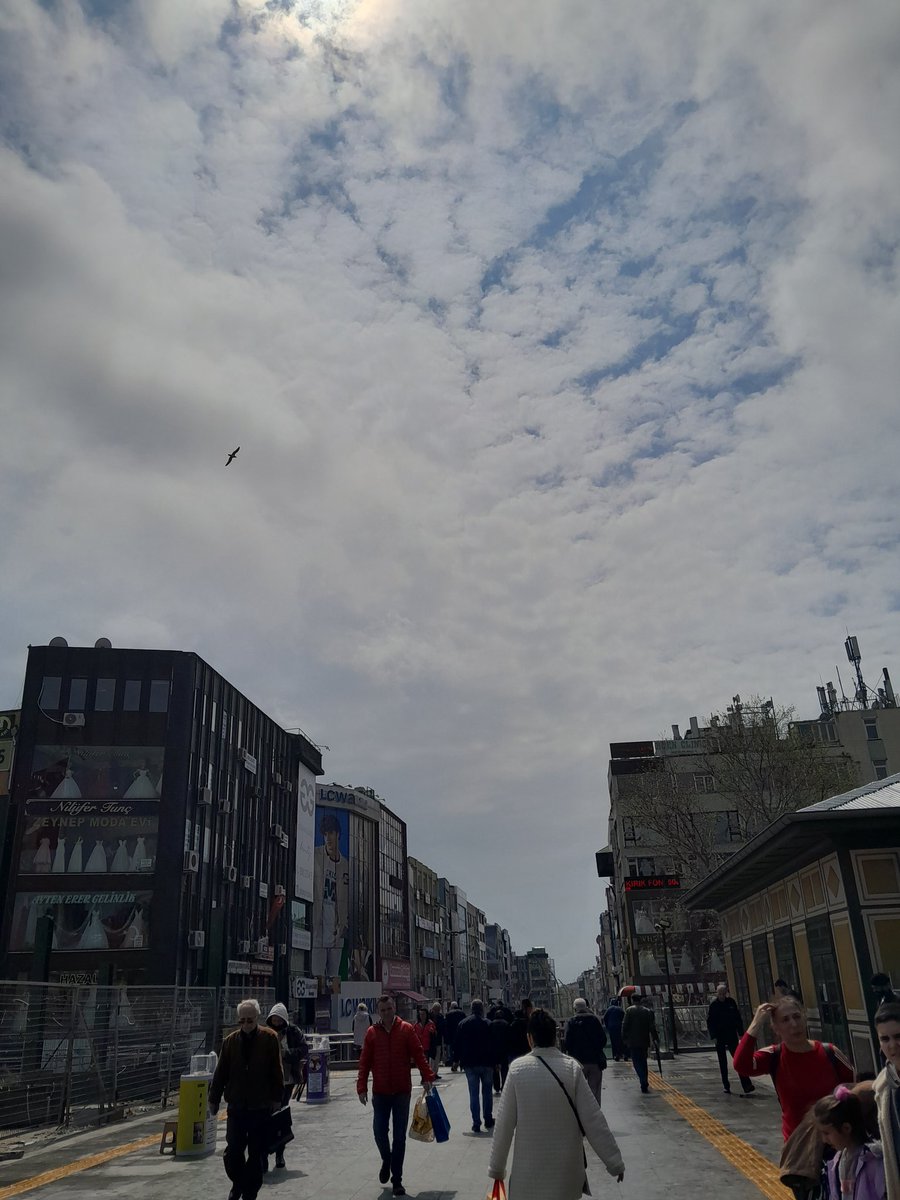 AIzliyo) / Posts / X