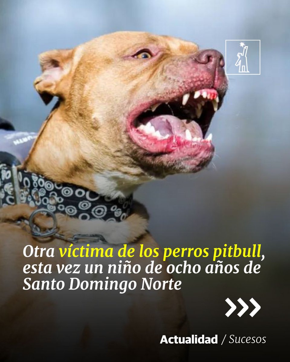 DiarioLibre tweet picture