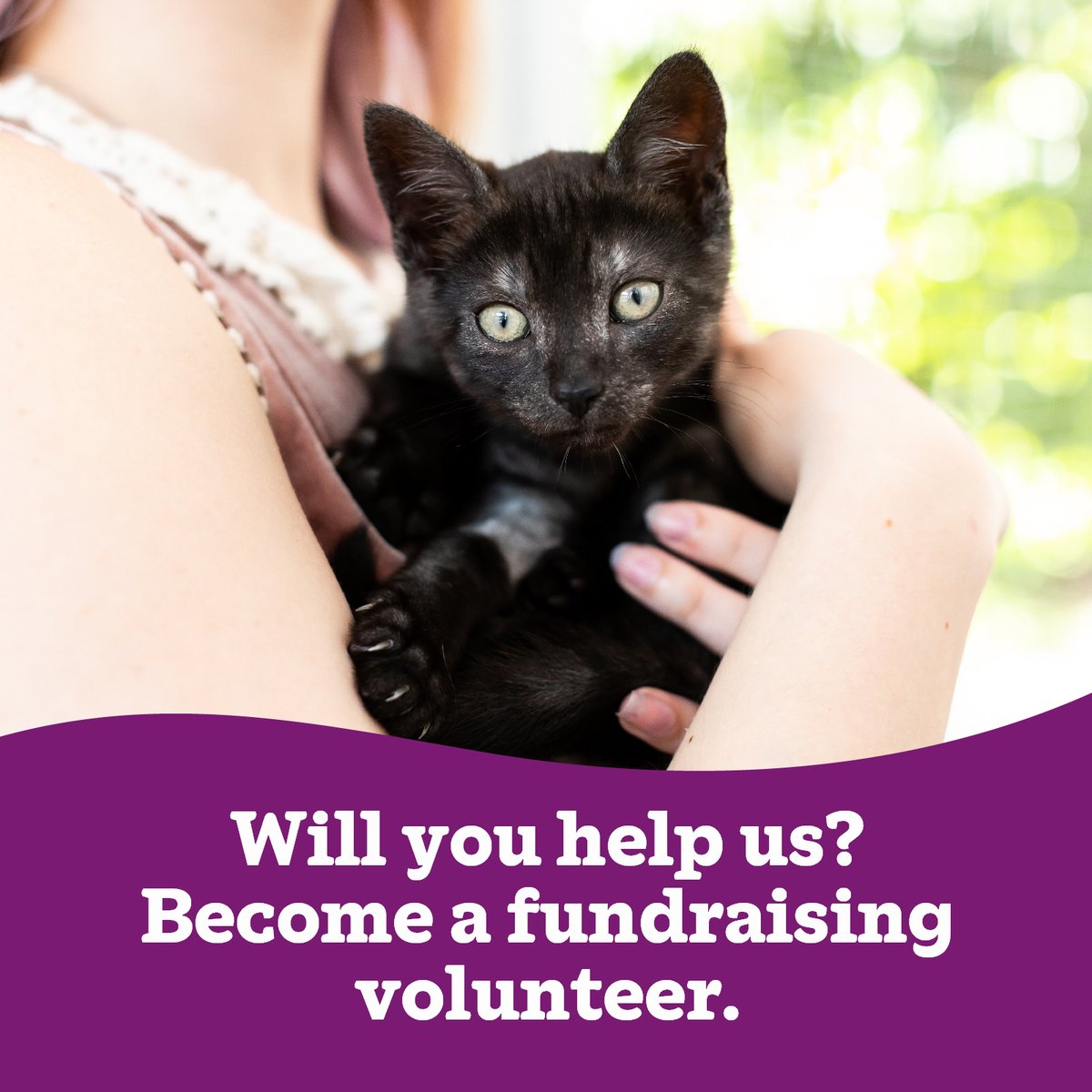 Today marks the start of Student Volunteering Week. We have been, for some time now, looking for a fundraising volunteer.  To find out more, and to apply, check out this link 👇⬇

cats.org.uk/support-us/vol…

#StudentVolunteeringWeek #CatsOfTwitter