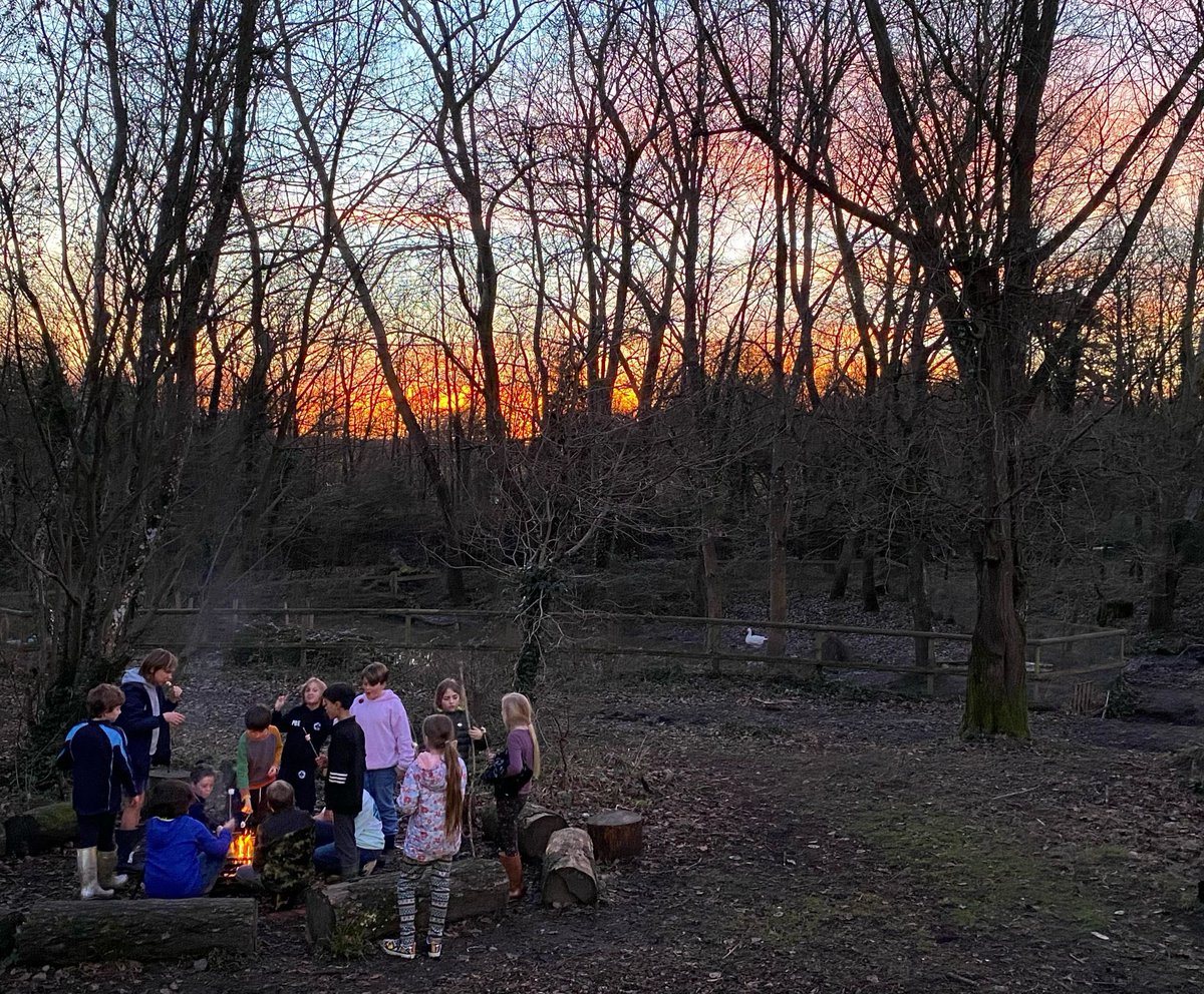 Bedales Prep ODW tweet media