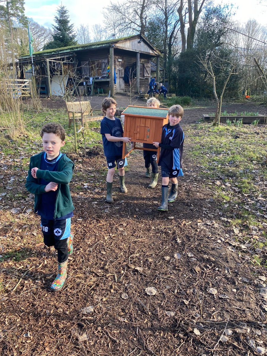 Bedales Prep ODW tweet media