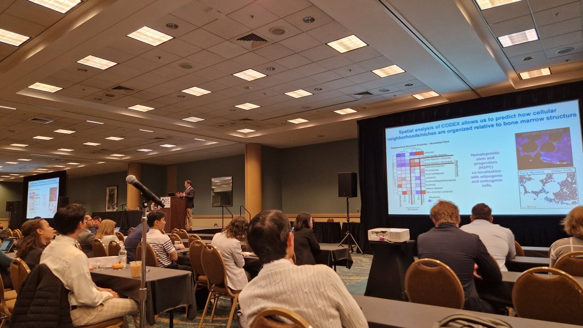 Stefaan Verbruggen tweet media