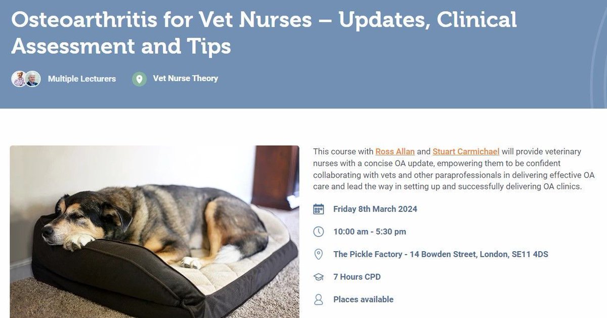 RossAllanVet's tweet photo. 🐕 🦴 **One Month to Go** at least 10% of dogs developing OA, so make sure to keep up to date on diagnostics, insights and management strategies - OA days on March 7th and 8th @CentralCPD #teamvet #veterinary #veterinarysurgeon #veterinarynurse  https://t.co/rDuTWH3FFl https://t.co/5aIhEnMajf