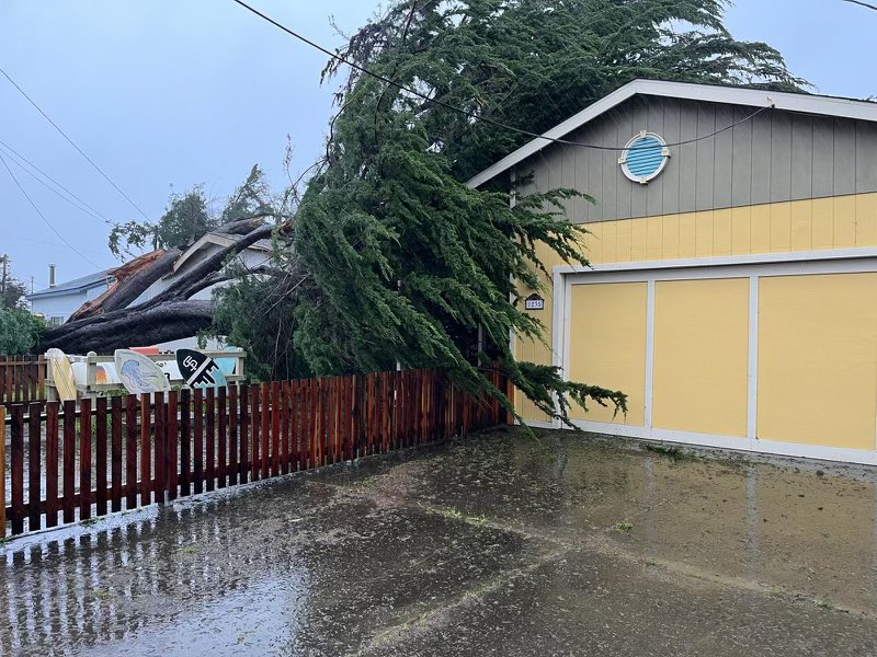 SoCoFireDist's tweet image. About 8:30 AM, this morning, Sunday, 2/4/24,  A tree toppled over impacting two homes in #bodegabay , no injuries. We continue to get reports of hazardous conditions due to the storm, stay safe everyone. #sonomacounty #cawx