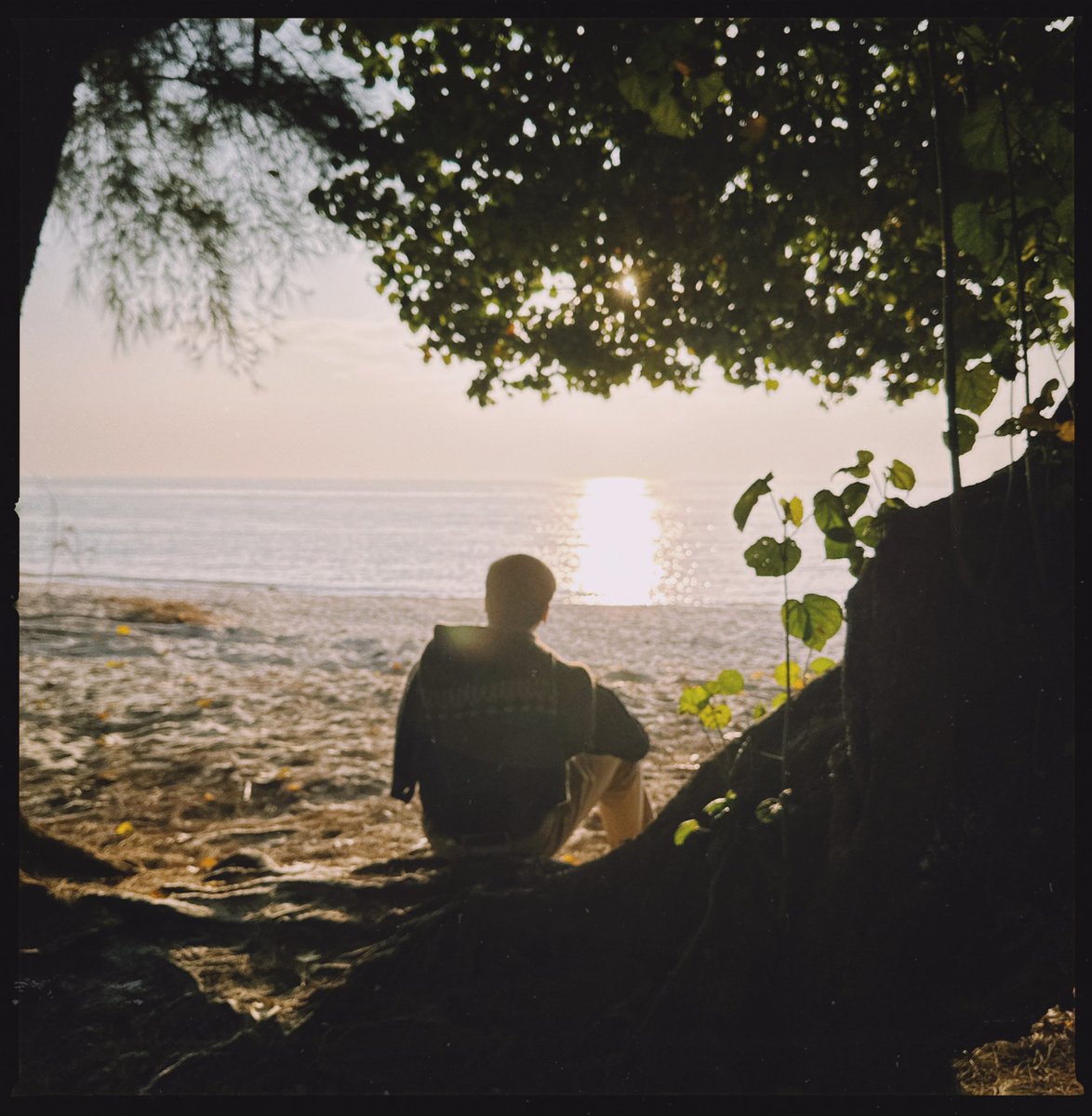越临近年关越有失落感
特别是半夜应酬回家
淋着雨在空荡的街上游荡
像一个没有家的小孩
像一个失去目标的人
或许不是像？
我也不知道我的目标是什么
只是一个按照剧本演的角色而已
