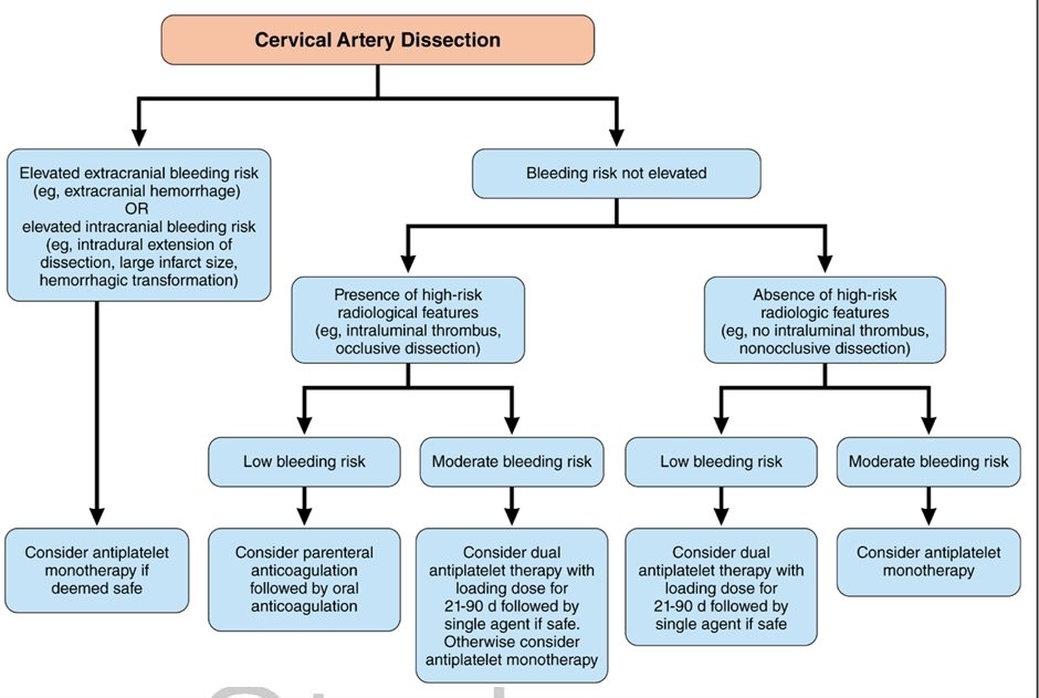 Excellent scientific statement and summary of Cervical artery dissection @ShadiYaghi2 @AshuPJadhav @StrokeAHA_ASA doi.org/10.1161/STR.00… My short summary