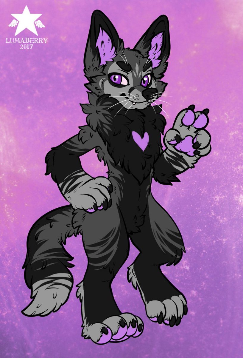 lexikatface's tweet photo. @WildDogWorks I'll throw some fun shapes into the mix! A typical fox, an English bull terrier, a manokit and a bernese mountain dog! https://t.co/oxTamtORBT