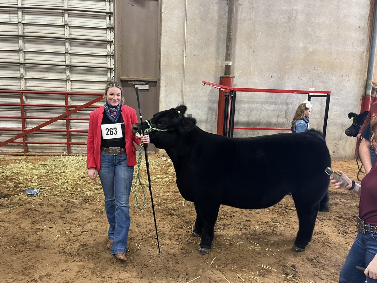 GCFFA senior Priscilla Roberts and her steer made getting in line for the FWSS sale. Great job!