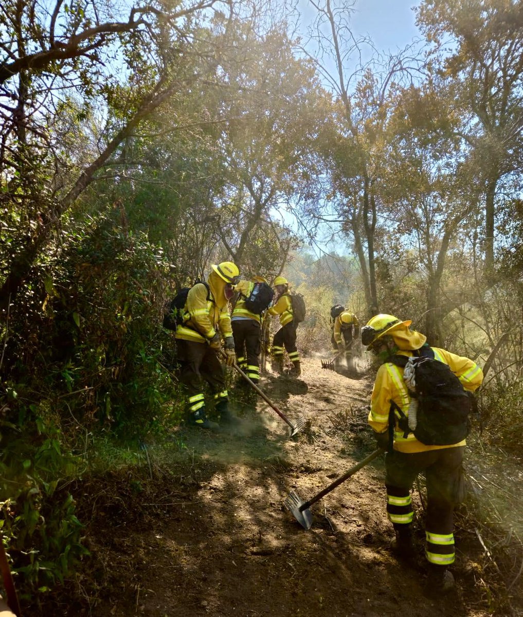 Ejercito_Chile's tweet photo. Por segundo día, las #BRIFEs de la Brigada de Aviación Ejército y del Regimiento N° 19 "Colchagua", mantienen sus esfuerzos en combatir focos de incendios en la #RegiónDeOHiggins.

#EjércitoEnAcción🇨🇱 https://t.co/si1ZEiRWMO