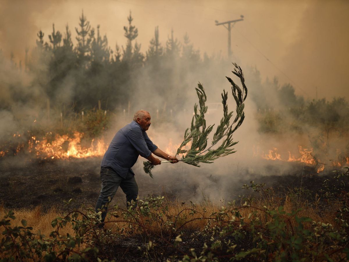 Mi solidaridad con el noble pueblo de Chile en estos momentos tan duros a raíz de los terribles incendios forestales que han afectado a su Nación... Cuentan con el apoyo y mano amiga de los venezolanos y venezolanas... Fuerza hermanas y hermanos chilenos. ¡Estamos con ustedes!