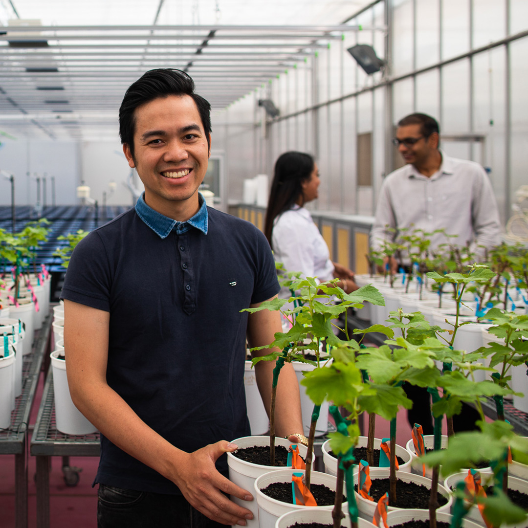 CAREER OPPORTUNITY. Join APPF at The Plant Accelerator® as a Senior Technical Officer, Horticulture. Grow and phenotype crops in a world-leading environment, to advance agriculture and your career. Learn more at careers.adelaide.edu.au/cw/en/job/5134…