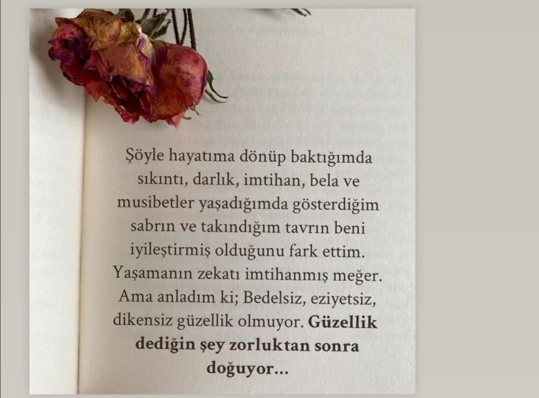 #GeceyeBirSozBırak 🦋🌺