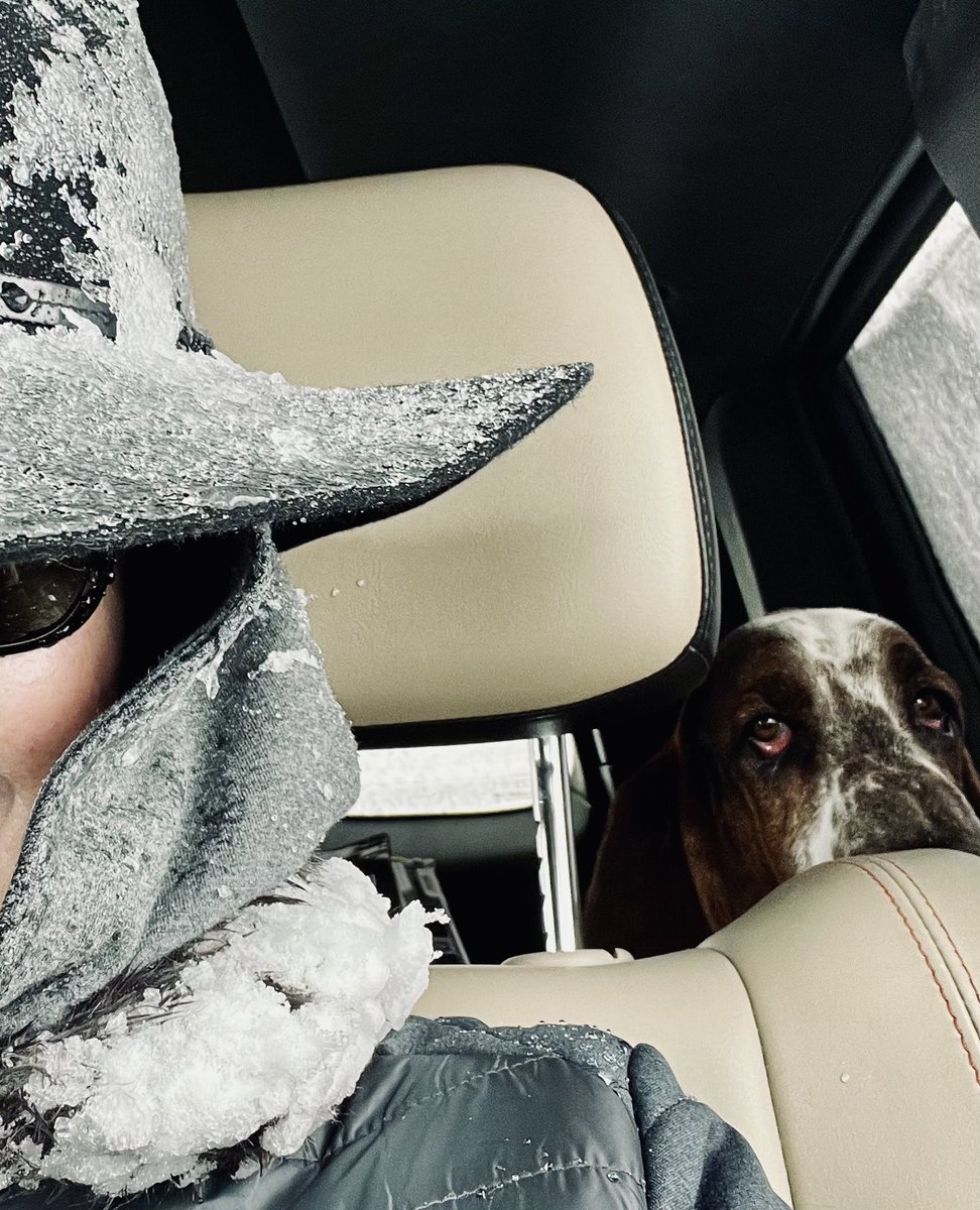 ItsTerriandFinn's tweet photo. Snow day! Oh yay! #FinnTheHound #dogmom #snow #snowday #digsofx https://t.co/ys27b6hlxS
