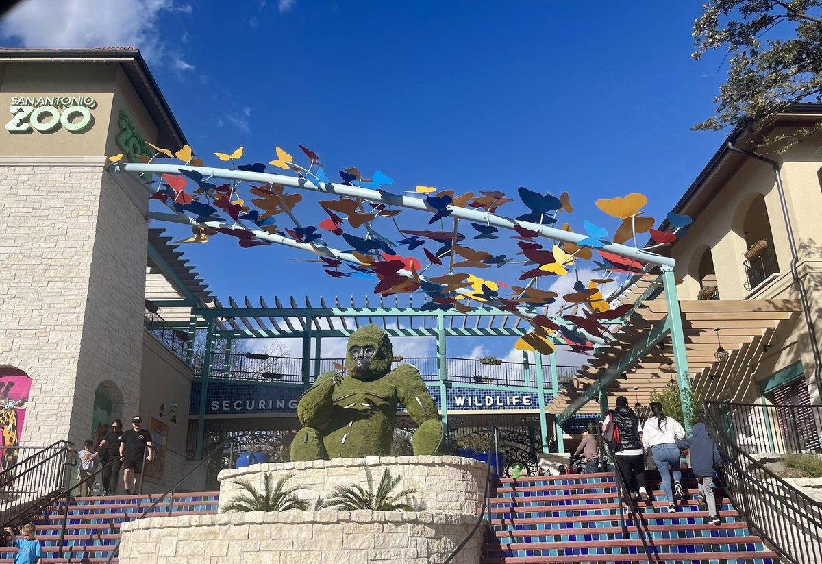 genevie79cr's tweet photo. Mi familia…a short trip to the @SanAntonioZoo with the family! It was such a beautiful and breezy afternoon!! ☀️@namaquanum #breaktime #IshouldbeREADING #priorities #familytime https://t.co/BHI0PXanDe