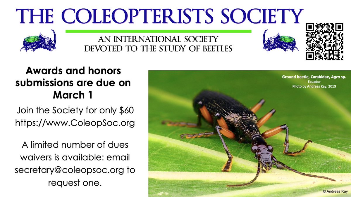 Less than one month left to apply for our #Awards and #Honors! Become a member of #TheColeopteristsSociety to be eligible. Dues waivers available - email secretary@coleopsoc.org. Additional free memberships are available via @EntoPOC entopoc.org/apply.html