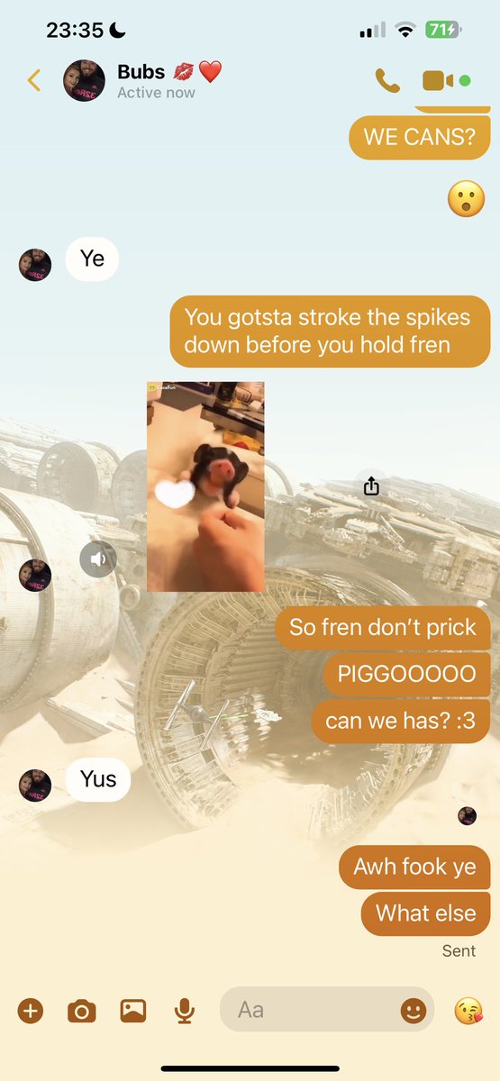 I think my favourite part of my day is the part where <a href="/ThatCoopsRS/">ThatCoops</a> sends me animal videos 🥰