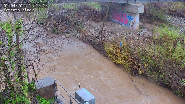 Rich and Alex tweet media