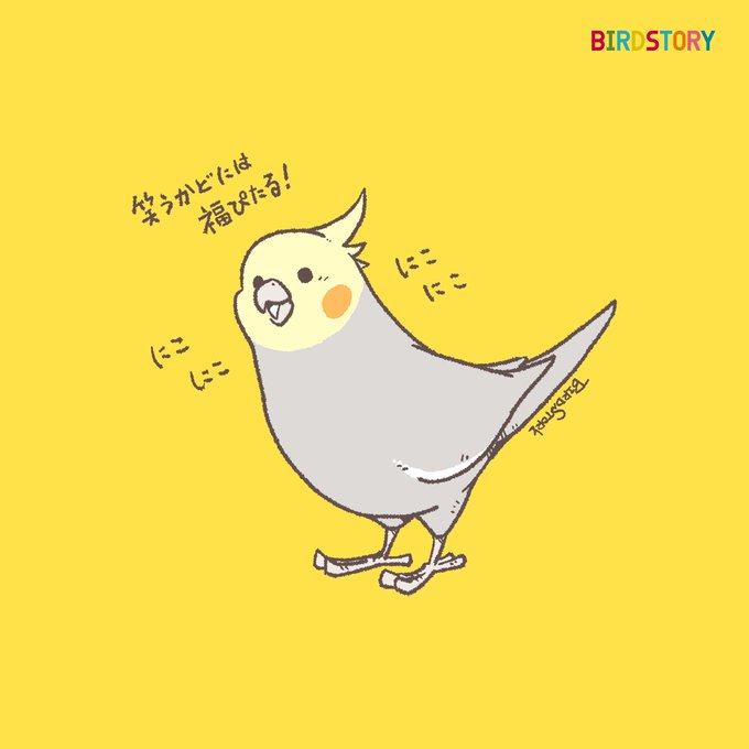 「オカメインコ」のTwitter画像/イラスト(新着))