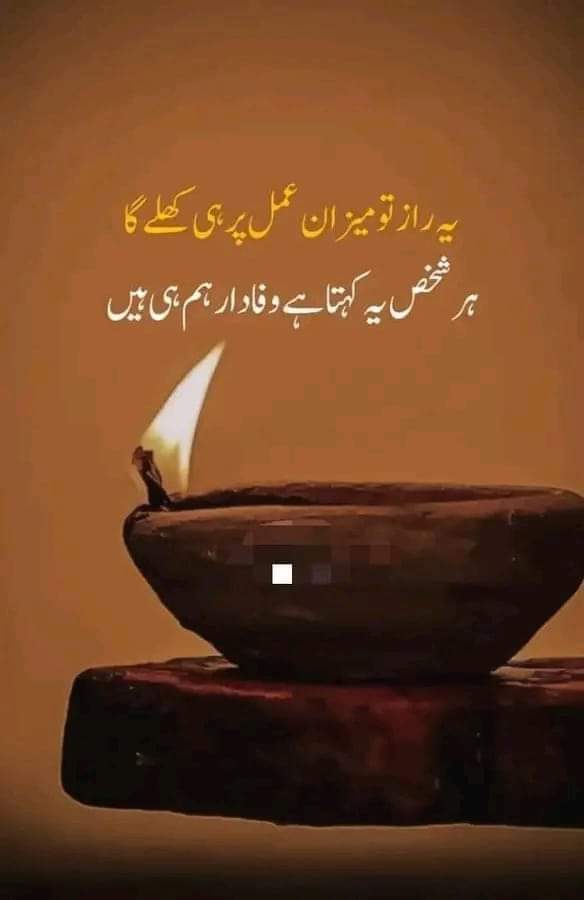 मौला हमारे उस अमल चिराग़ को रौशन करे जो कयामत के दिन जलने वाला है,🤲