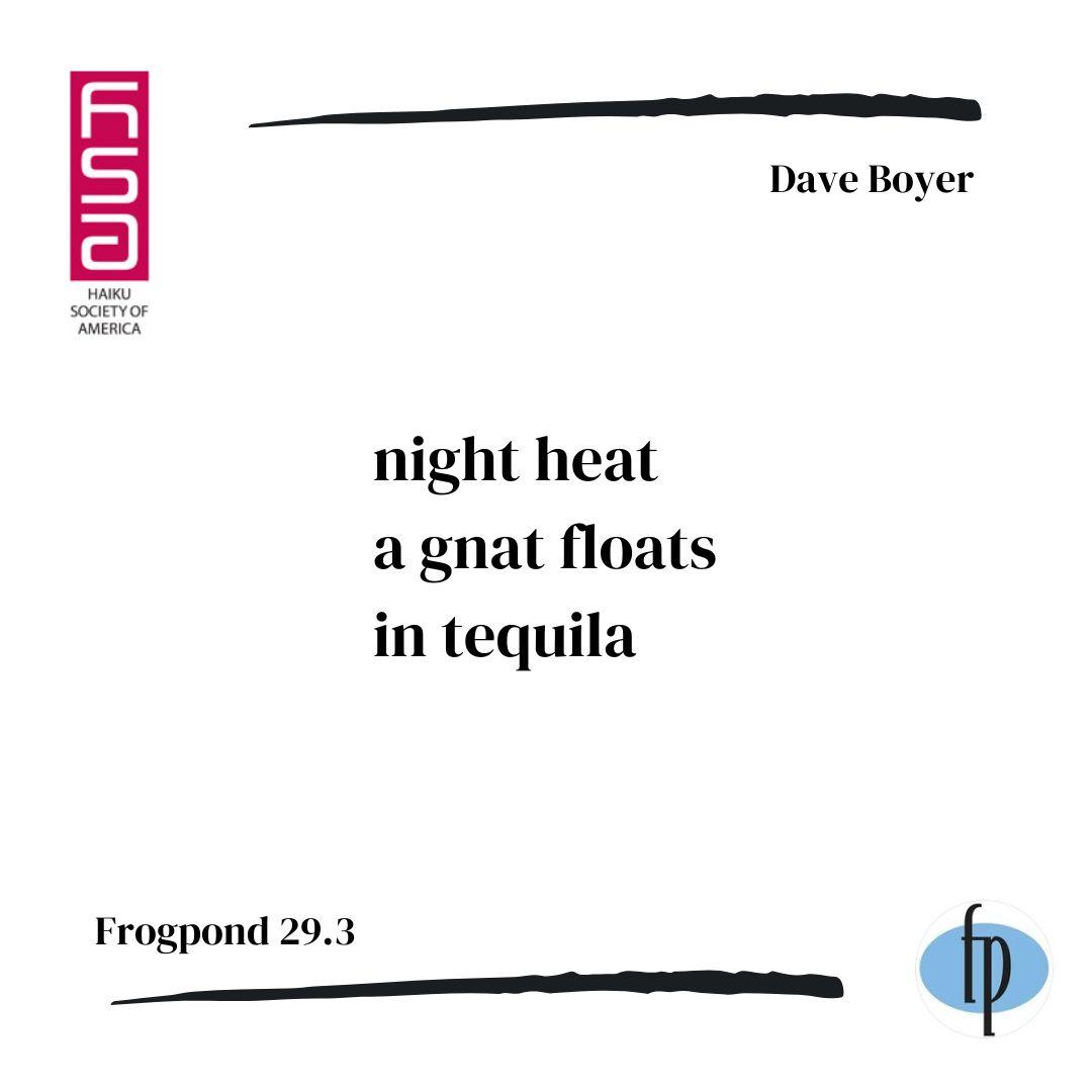 Here's a #haiku by Dave Boyer from issue 29.3.

Come #read an issue of Frogpond Journal!

Share your #poetry with us.

#frogpond
#night 
#nightheat 
#gnat 
#tequila