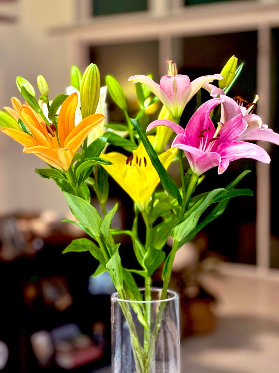 annatheenigma's tweet image. Weekly fresh flowers are a must in my home 💐

This week - gorgeous multi color lilies