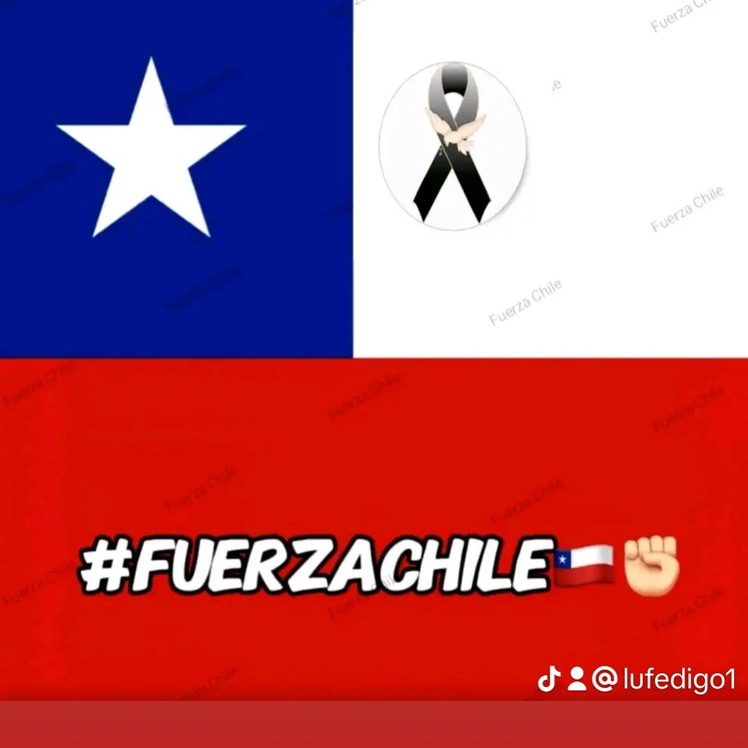 lufedigo tweet picture