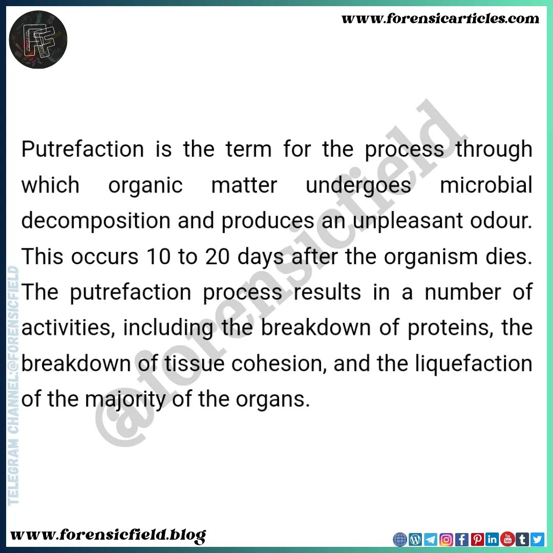 ForensicField's tweet image. What is Putrefaction? 

forensicfield.blog/what-is-putref…

______
#forensiccriminology #forensicinvestigation #forensicfield #crimesceneinvestigation #crimescenereconstruction #forensicscience #putrefaction #forensicmedicine