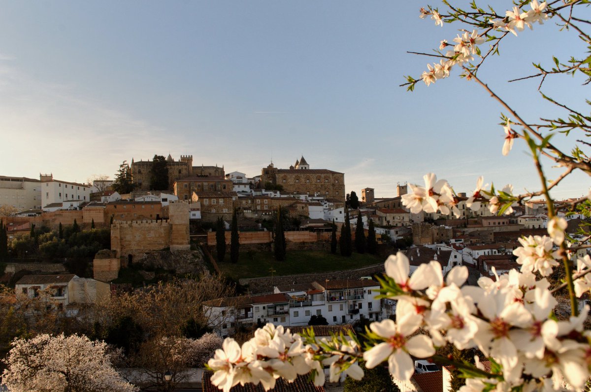 Silvia_6's tweet photo. Debe ser el almendro con las vistas más bonitas de Cáceres

🤍✨ https://t.co/n53De1R07W