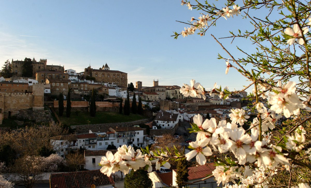 Silvia_6's tweet photo. Debe ser el almendro con las vistas más bonitas de Cáceres

🤍✨ https://t.co/n53De1R07W