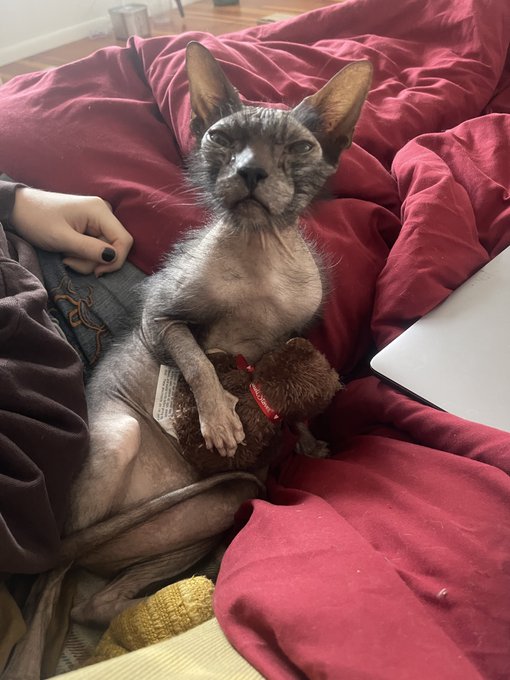 None of us will ever know love like him and his little bear. https://t.co/FAQpm0wpZW