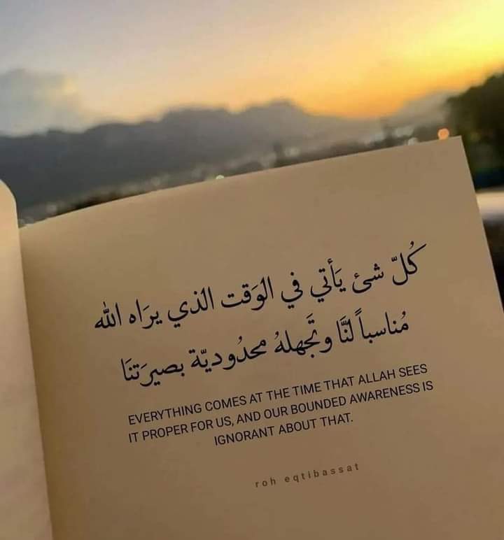 MathHamid's tweet image. 