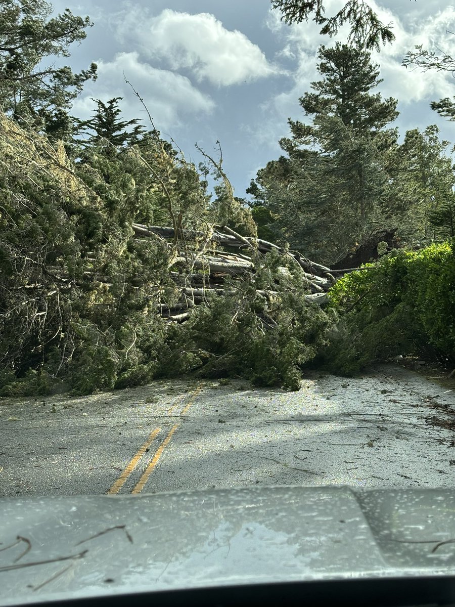 Smylie Kaufman tweet media