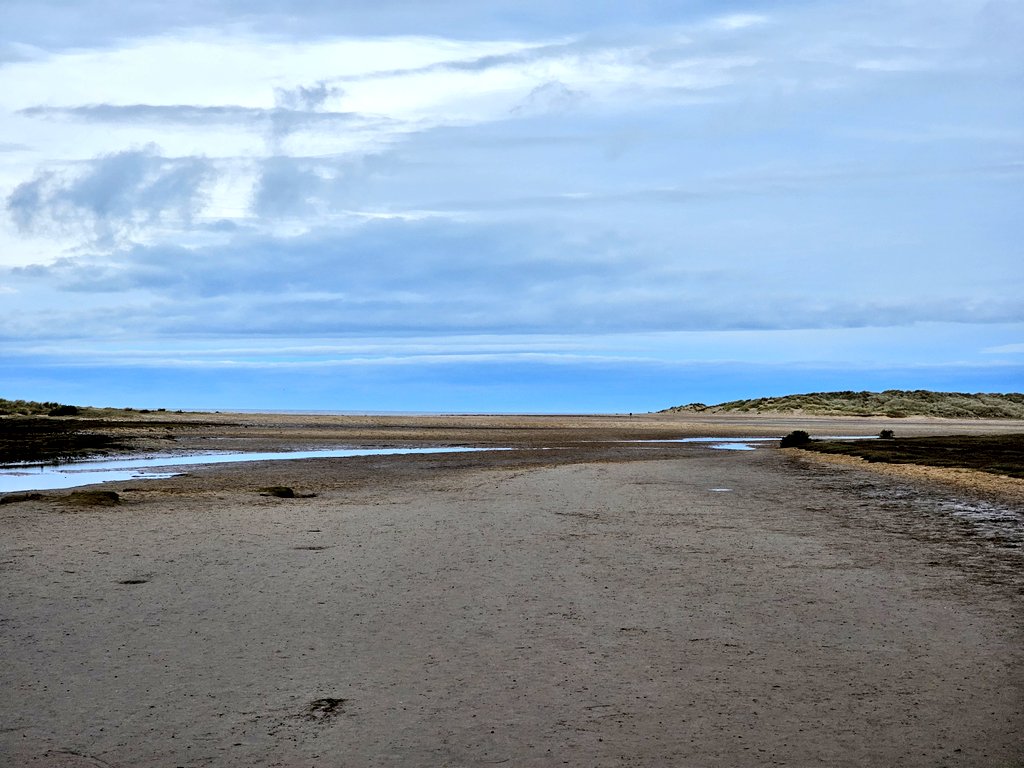 daleivor's tweet photo. #Holkham 3.5hr seawatch for Black Scoter... dipped. So, I had to make amends. So, I found the #whitefrontedgeese then moved to #Titchwell #waterpipit, then to #nenewashes #LEO #SEO #cranes #Bewickswan - smashing end to a big week. It ended on 150 for the year. Best start ever. https://t.co/yDKtNsYPEu
