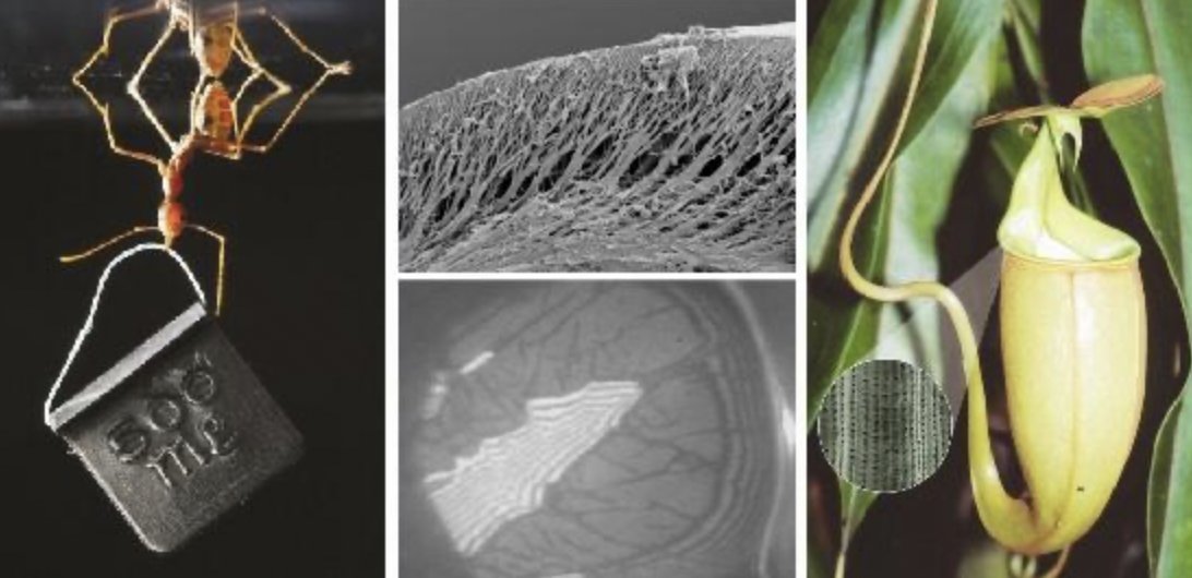 Just 1 week left to apply! 
Funded 3 year PhD/ Research Assistant position working on the functionality of insect cuticular lipids in our group at the University of Cambridge. 
Apply here:
jobs.cam.ac.uk/job/44777/