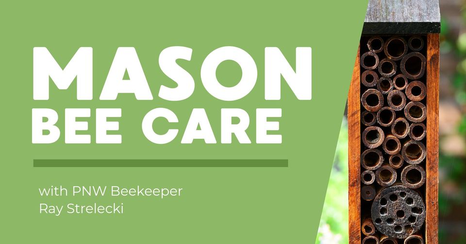 SAT Feb.10  11-12:30  Join Ray Strelecki as he shares all the secrets, care tips &amp; tricks he's learned in almost 30 years of keeping these tough, early-rising native bees. As he would say, time to MacGyver it up! FREE CLASS  : skynursery.com/classes-events/ No Registration Necessary.