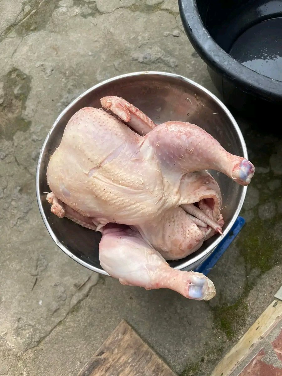 KALAMBA (@tatu_kalamba) on Twitter photo <a href="/mbuyi_don/">Don Israël H.M/ Le Coach</a> Dans la vision de parvenir à l'auto suffisance alimentaire, et diminuer l'importation de la viande de poulet en RDC, mon projet se résume comme suite 👇👇👇👇
Dans une courte période, ceci peut faire des exploits <a href="/mbuyi_don/">Don Israël H.M/ Le Coach</a> Dans la vision de parvenir à l'auto suffisance alimentaire, et diminuer l'importation de la viande de poulet en RDC, mon projet se résume comme suite 👇👇👇👇
Dans une courte période, ceci peut faire des exploits