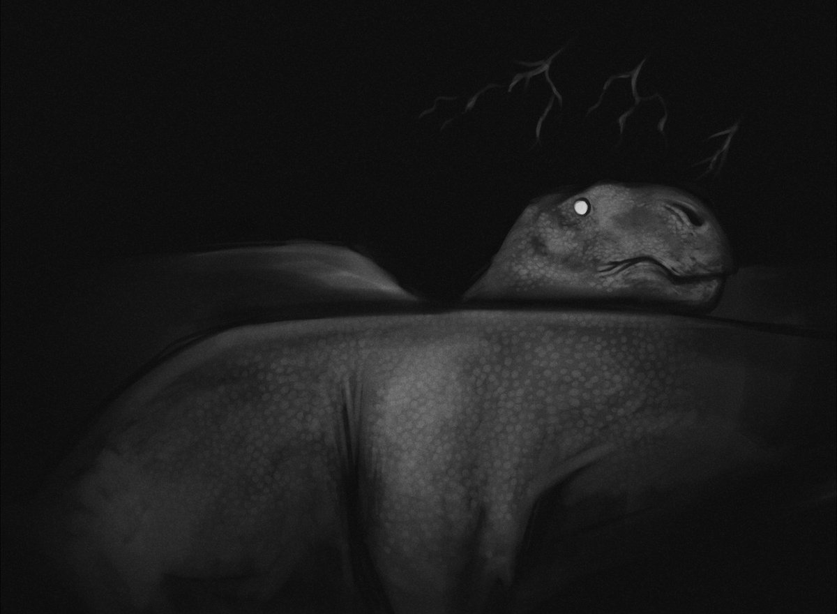ConfusedHadro's tweet photo. Hadrosaurs at night.

#paleoart #dinosaur #paleontology #digitalart #hadrosaur #Ornithopoda #Ornithischia https://t.co/kayJ1yL8XQ