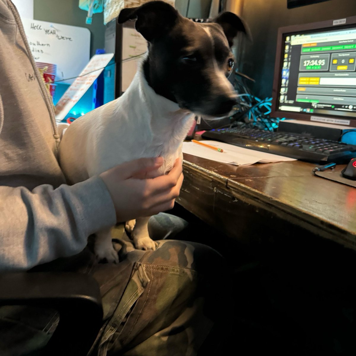 This sweet baby came to Stumptown to play a game today! Does anyone know who the family could be? Found at our Tigard location on Main Street - sweet baby is getting lots of love and attention but we would love to find their family if it exists!
