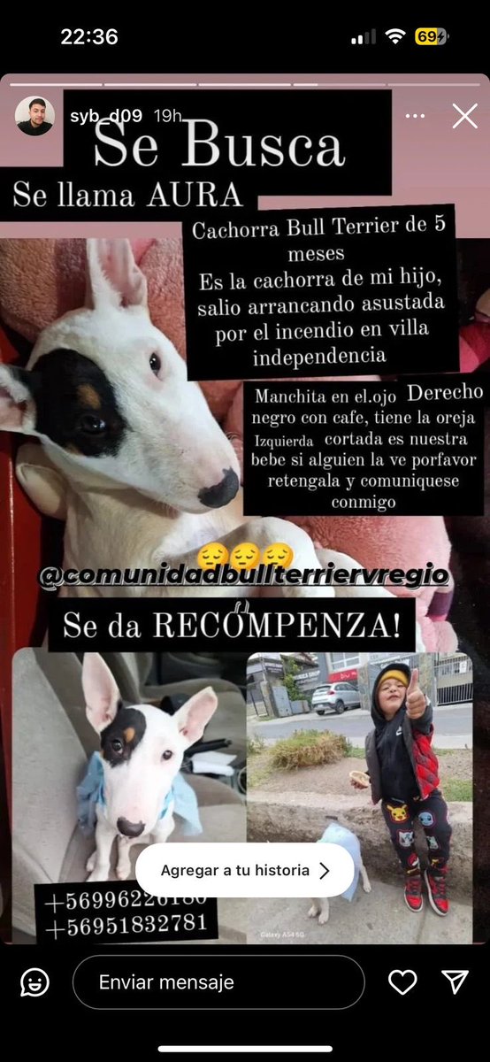 Patty 🐾❤️ tweet media