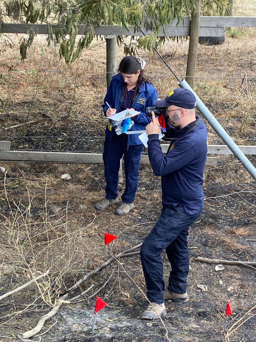 PDI Chile tweet media