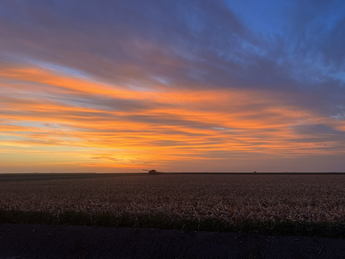 To good not to share on a Monday morning. Day shift starting, night shift going to bed. #Sorghum24 #gwydirvalley