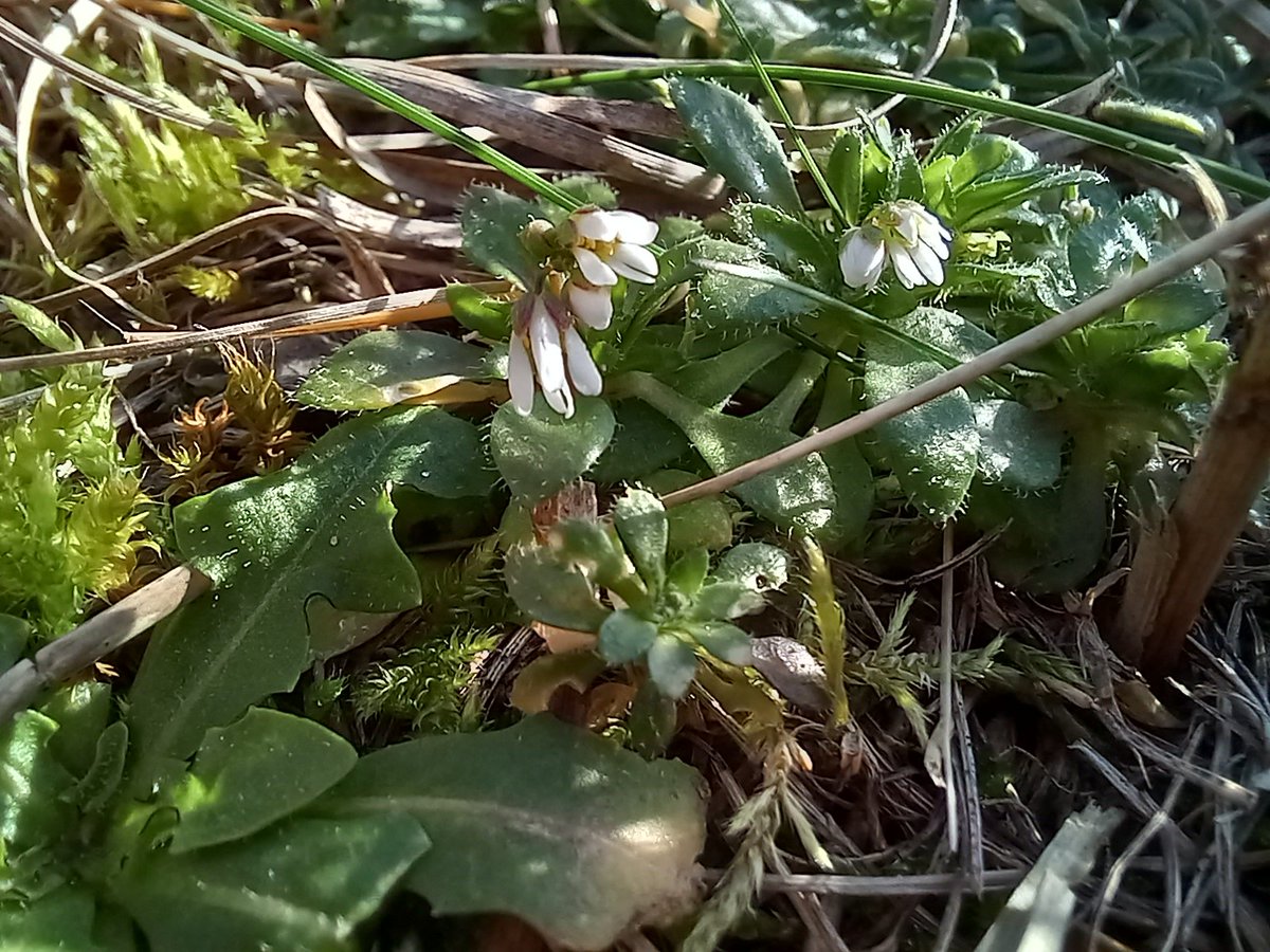 Neil Forbes tweet media