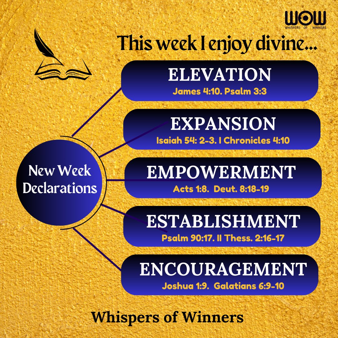 Speak into the week. I am divinely elevated. I rise to new levels of favour and honour. I am expanding on every side. I step into wide-open spaces by my God. I am empowered to prosper and promote the purposes of God. The works of my hands are established. I am encouraged!