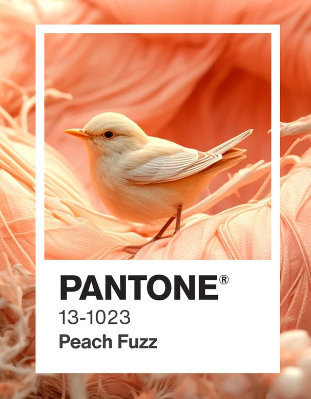 Que a cor do ano 2024 eleita pela Pantone é a Peach Fuzz muita gente já sabe, mas vc sabe quais combinações são possíveis, quais paletas podem ser usadas? Vem pro blog que preparei um post inspirador e completíssimo pra você! taysrocha.com.br/2024/02/de-que… 
#pantone #cordoano