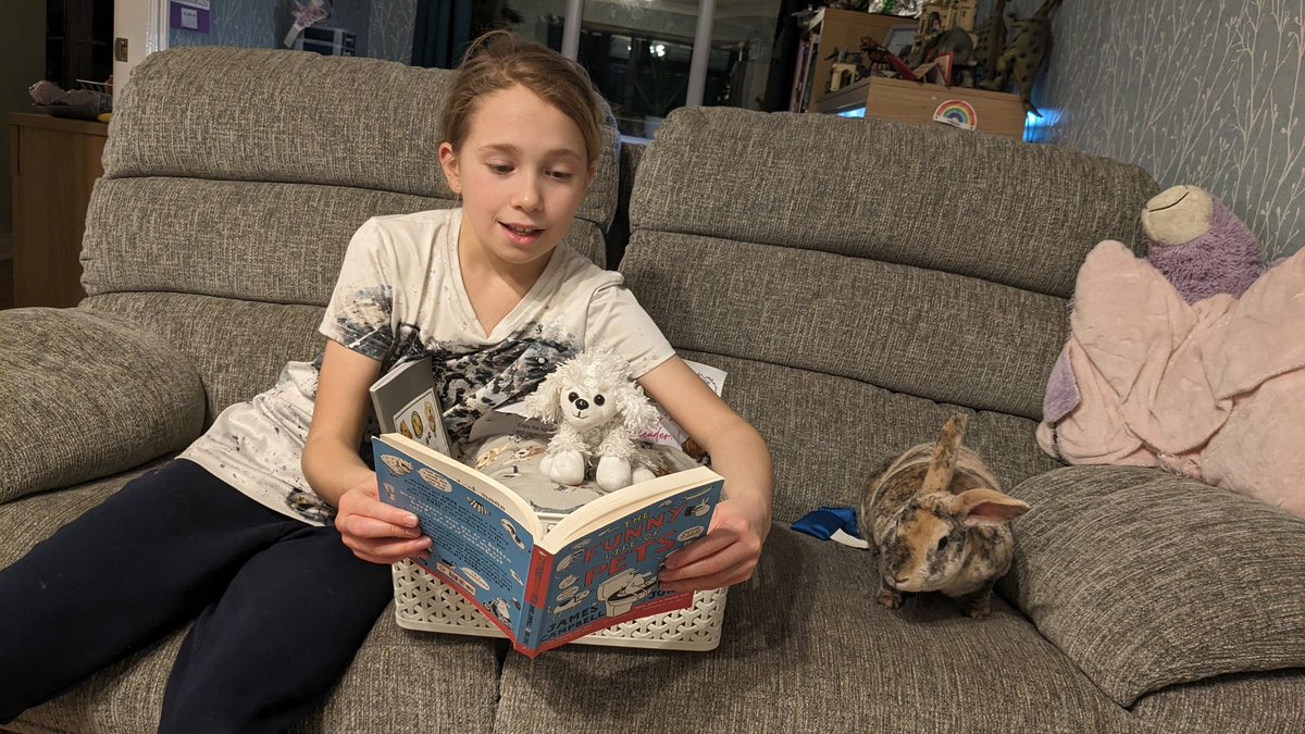 Taylor81L's tweet photo. Kaitlyn has been reading to Harley and Pip, they are all enjoying this book. @Beaumontprimary @BeaumontYear6 #thefunnylifeofpets https://t.co/QFw2Z2RAQB