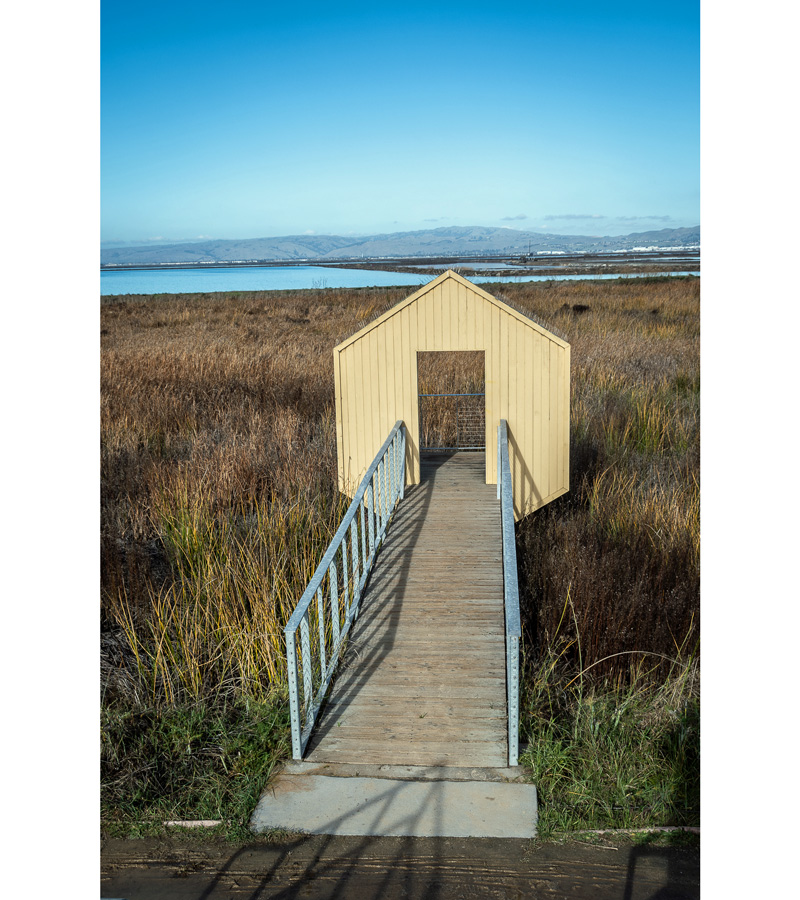 With saturated color and the clever use of asymmetry and line, John S. Brown brings us comfortably into the world of his photography.

Walkway to ????
photograph 24x18

#marshland #blueandgreen #thebeach #colorphotography #elementsofart #doortoanywhere
