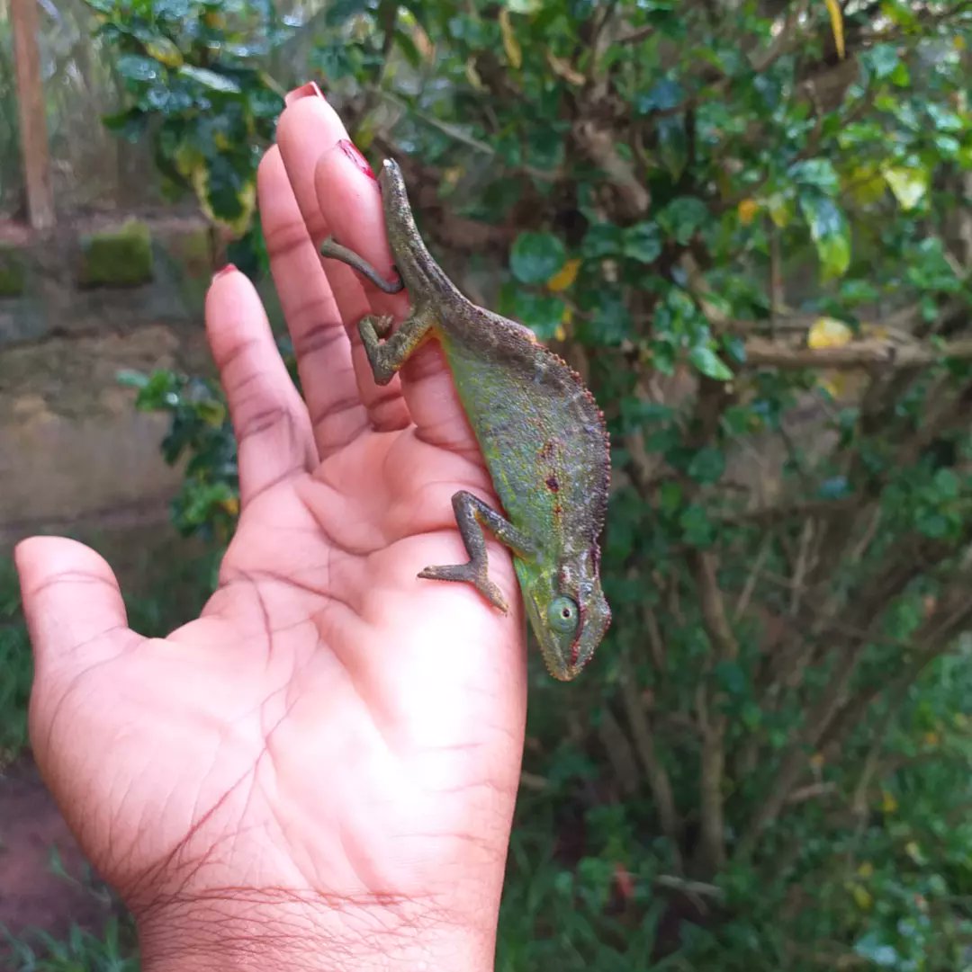 Travel with Jazel tweet media