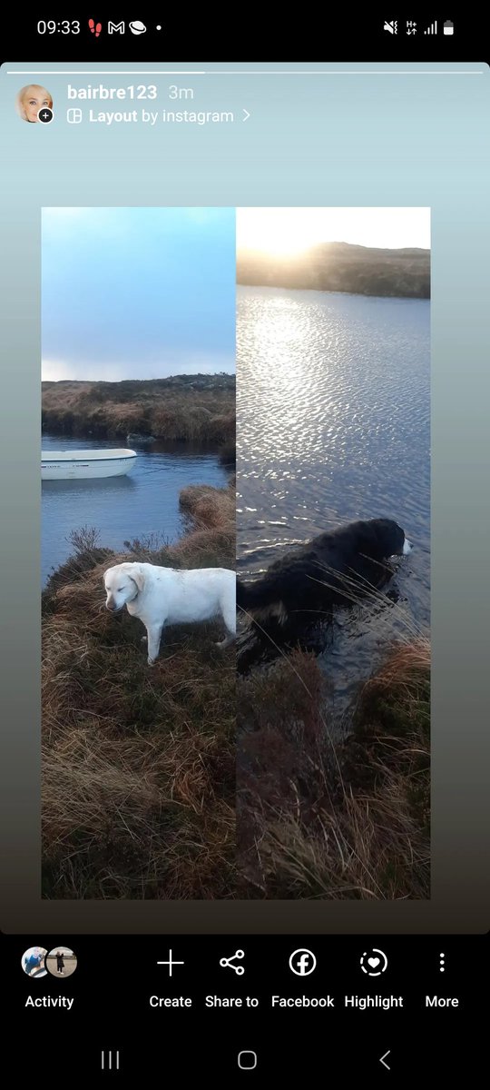 Na rógairì 🐕💞