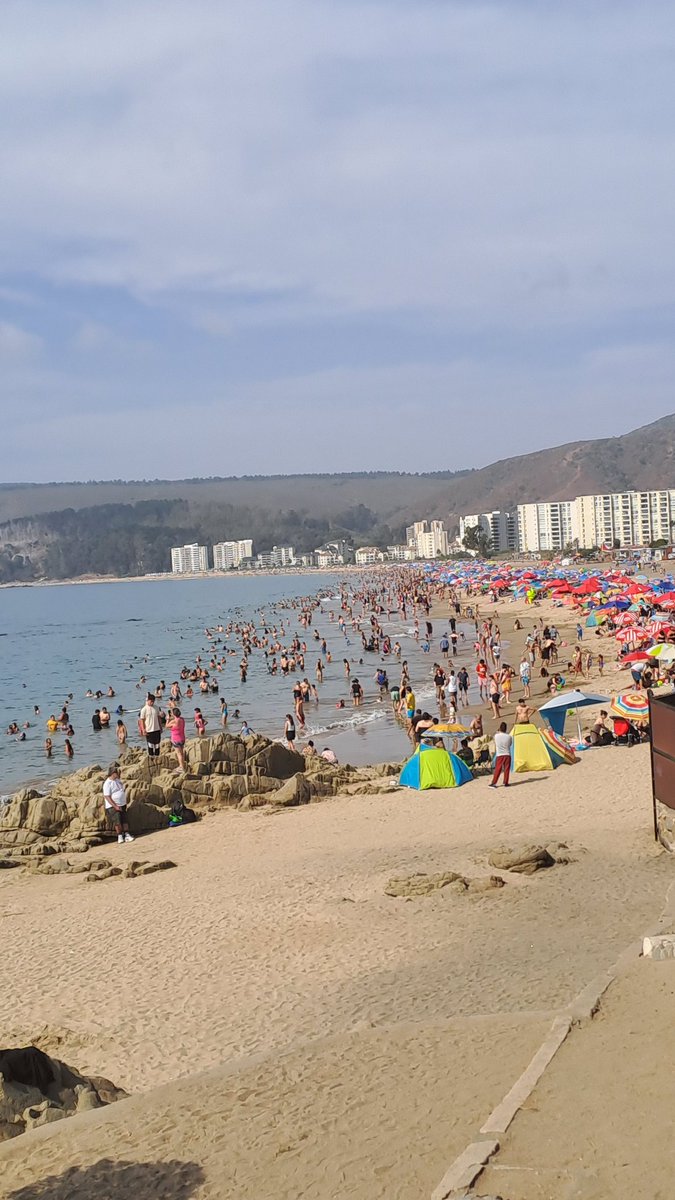 Así está la playa de #Papudo hoy domingo 

#IncendioForestal #Incendios #papudo #Valparaiso #VinadelMar