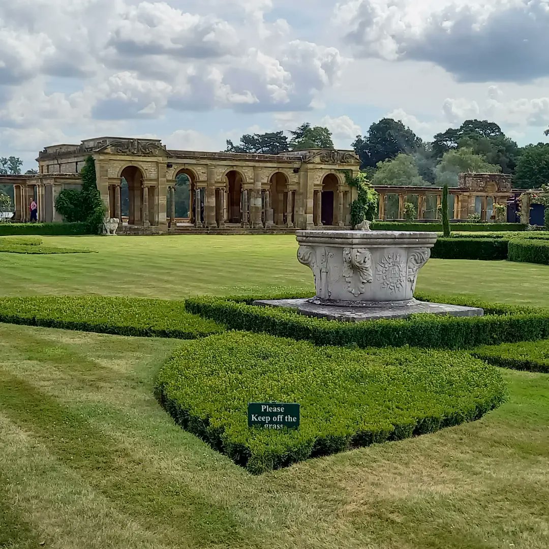 David Hodgson tweet media